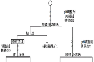 处理低镁高铁铝硅钙质胶磷矿的双反中矿正浮选方法