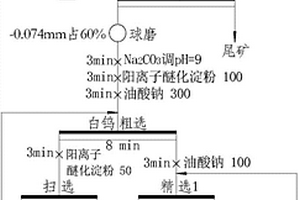 阳离子醚化淀粉在白钨矿浮选中的应用