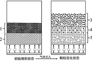 利用分选密度梯度的气固流化床干法分选工艺