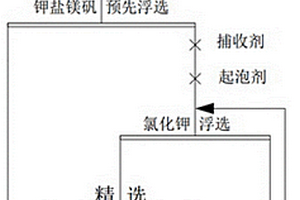 硫酸镁亚型盐湖氯化钾的浮选工艺