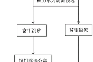 含钼铜精矿的预选方法