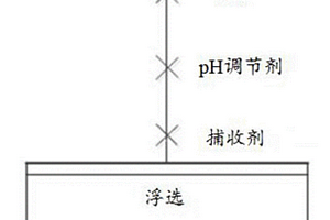 双子季铵盐捕收剂的应用