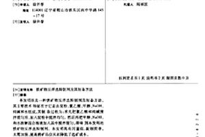 铁矿物反浮选抑制剂及其制备方法
