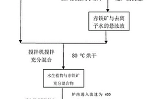 磁铁矿干选皮带装置