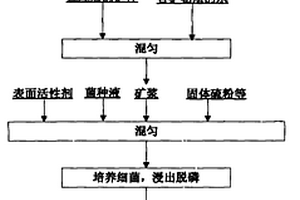 矿石分类输送装置