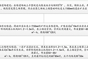 矿石真空去杂分拣装置
