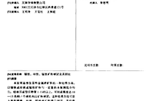 速效磁化矿化水制备装置