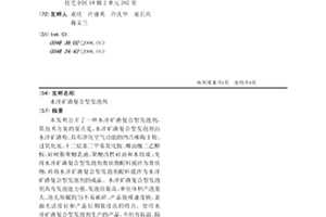水下粗选轮斗式采金船