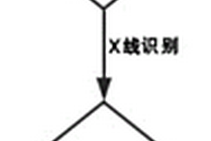 双振动水平冲洗机