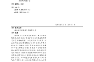 浮选入料箱
