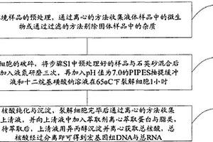 改性Sup-25沥青混凝土下面层施工方法