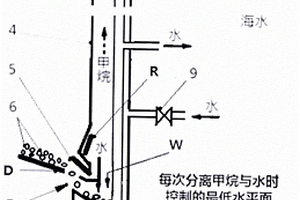 防治水稻白叶枯病药肥及其使用方法