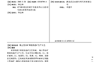 双电机强迫同步振动筛