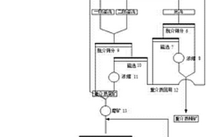 瓦斯爆炸肺损伤诊断系统、血清标志物筛选方法、肺损伤作用机制研究方法