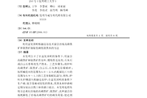 绿色高效的高硅Beta分子筛的合成方法