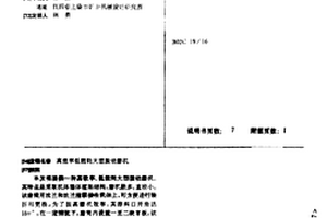 环保陶瓷洗涤球及其生产工艺