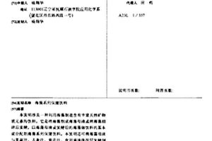 自净化的超疏水-极亲油型复合滤珠及其制备方法