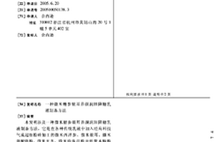 固体氧化物燃料电池系统及其制备方法