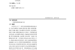 新型加气砖及其制备方法