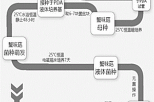 新型高效除磷剂的生产方法