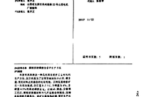 带搅拌装置的磁选机