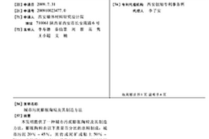 利用水电站水面垃圾进行燃烧发电的处理系统