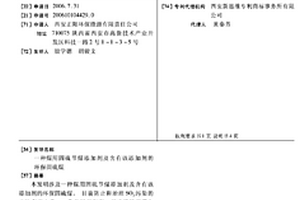 直驱高效环保节能中心传动球磨机