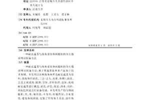 钼选厂一段磨矿系统用渣浆泵