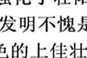 钛白粉、钛白粉生产工艺及钛白粉生产中的粉磨工艺
