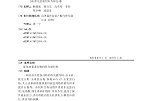 锚固水泥