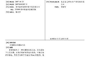 一株耐受重金属微生物菌株及其应用
