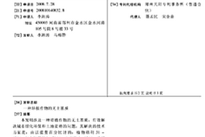 电解锰工艺中进行化合及高效压滤的装置