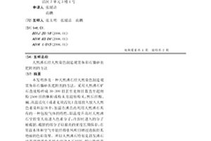 轻质镁橄榄石耐火骨料及其制备方法