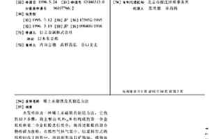 地面钻孔注浆充填老空区固废处理技术