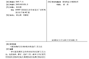 岗岩斑点砖的制备方法及岗岩斑点砖