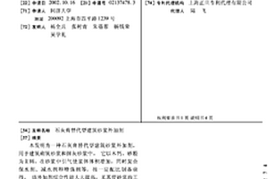 尾矿处理装置