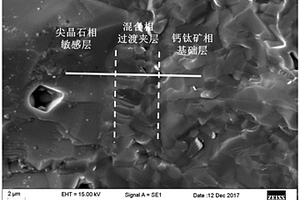 铁矿石混岩率在线检测方法