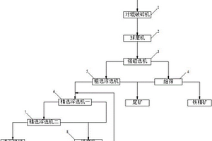 固体生物质转化工艺