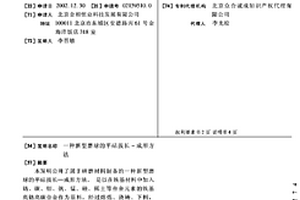 用于地下矿山巷道冒落区及破碎带的锚杆自锁结构