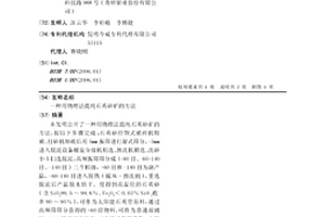 以废渣源纳米粒子为载体吸附分离水体中离子态有机物的方法