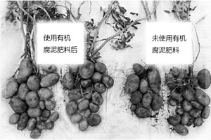 培养基及其制备方法、微生物材料及其用途和制备方法