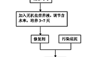 具有环境消磁功能的折光芳香族聚碳酸酯复合墙纸