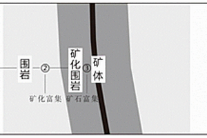 蔬菜钼营养强化型专用肥及其制备方法和应用
