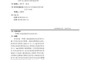 分类筑堆的地表槽浸工艺
