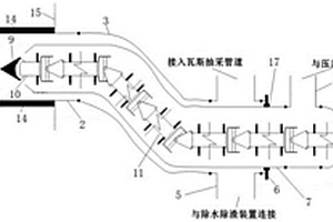 灵芝生物活性多维强化剂的制备方法