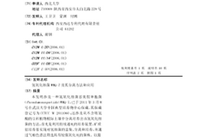 塑胶卷材简易铺装方法