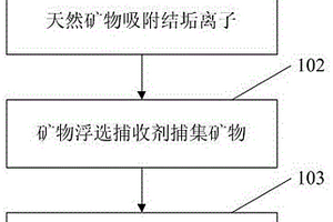 紫外光照射提高灵芝钙强化剂中维生素D含量的方法