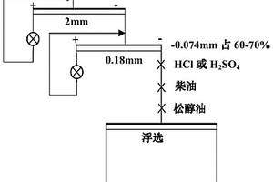 发酵莲子醪的加工工艺