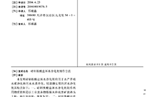 组合式自锁膨胀型抗岩爆锚杆