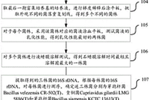 桑椹咀嚼片及工艺